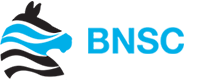 client_bnsc_logo